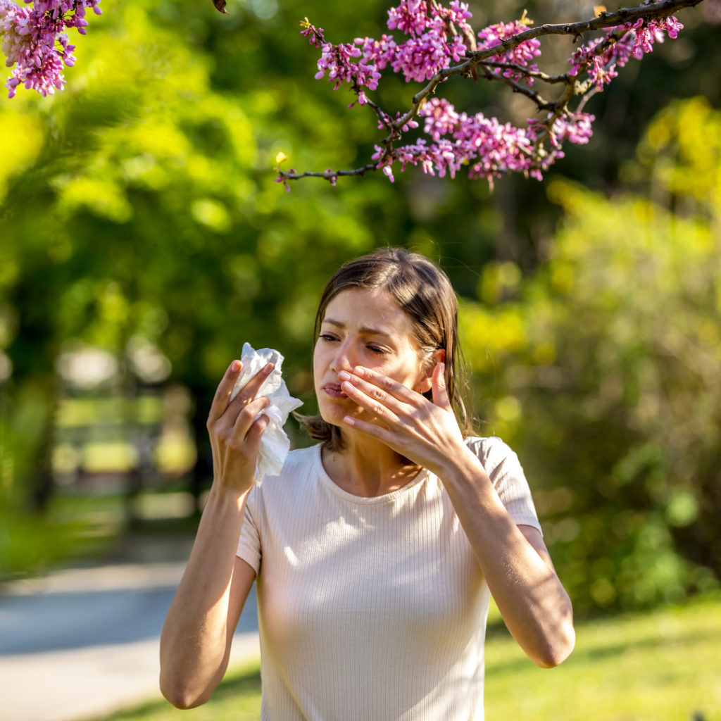 Woman holding tissues in one hand and the other holding her nose walking in park with blossom tree indicating allergies.