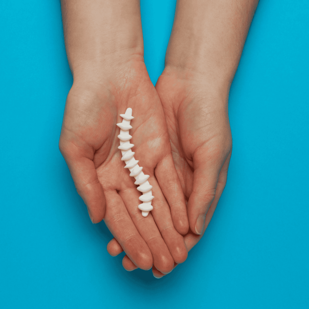 Two hands holding small spine in palm of hands with blue background.