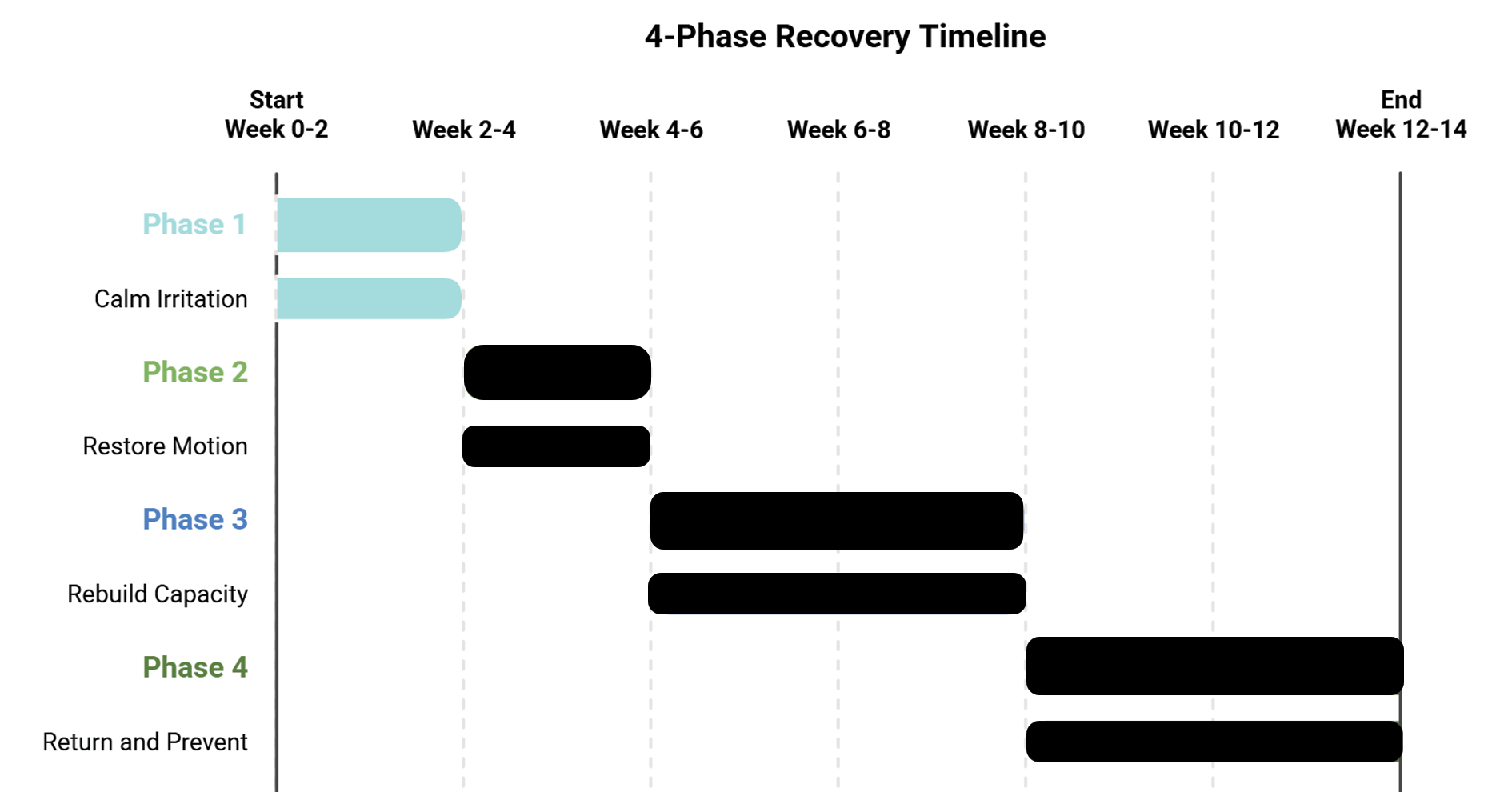 Four-phase recovery timeline chart from week 0–12+, showing phases: calm irritation, restore motion, rebuild capacity, return and prevent.