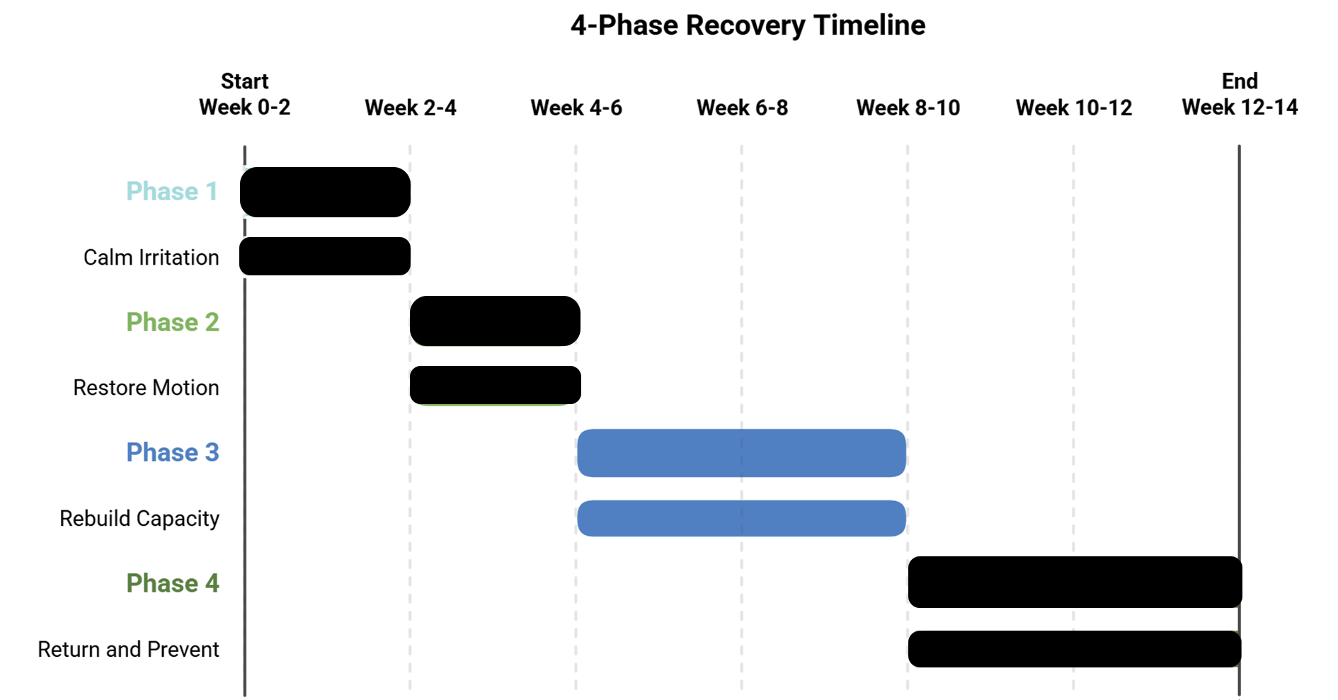 Four-phase recovery timeline chart from week 0–12+, showing phases: calm irritation, restore motion, rebuild capacity, return and prevent.