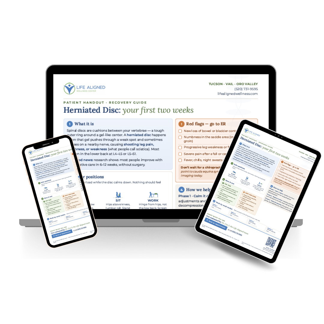 pdf download showing what the pdf will look like